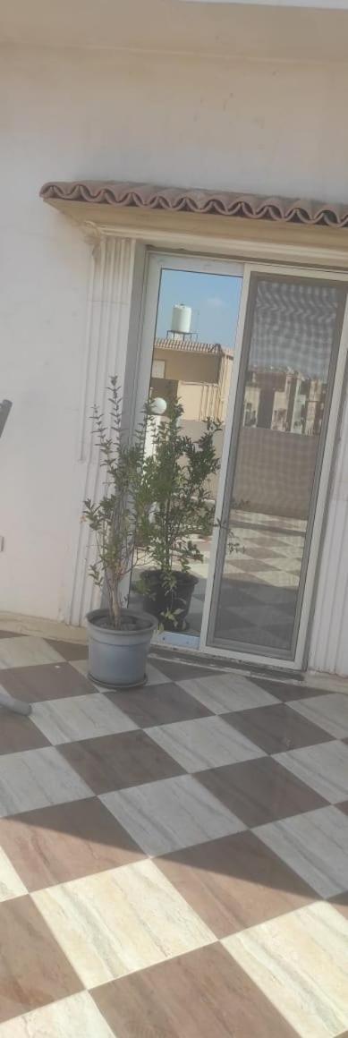 Apartment Furnished Roof In New South Of The Academy Area C And Next To The North Teseen Street
